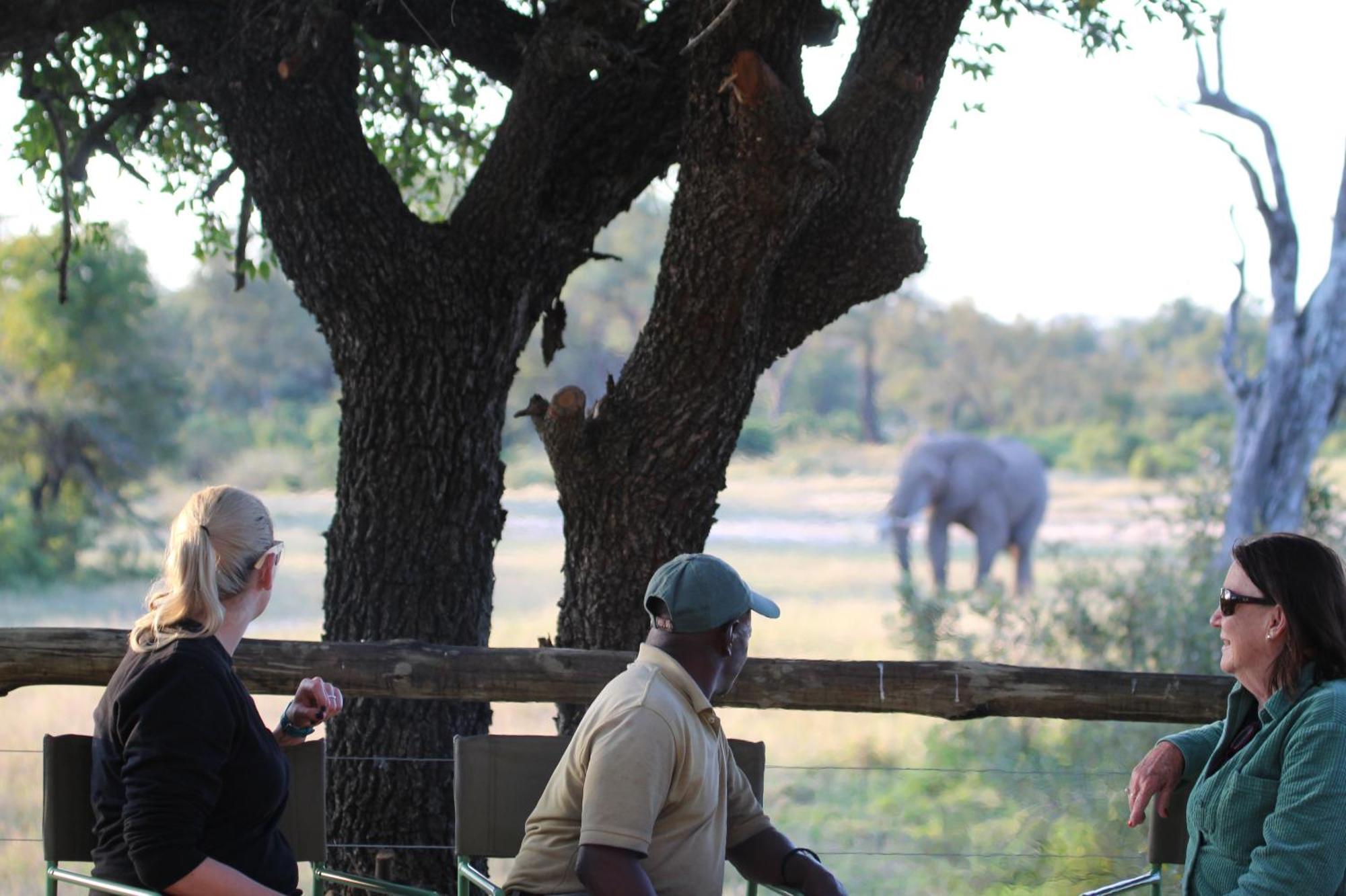 Rhino Walking Safaris Hotel Skukuza Exterior photo